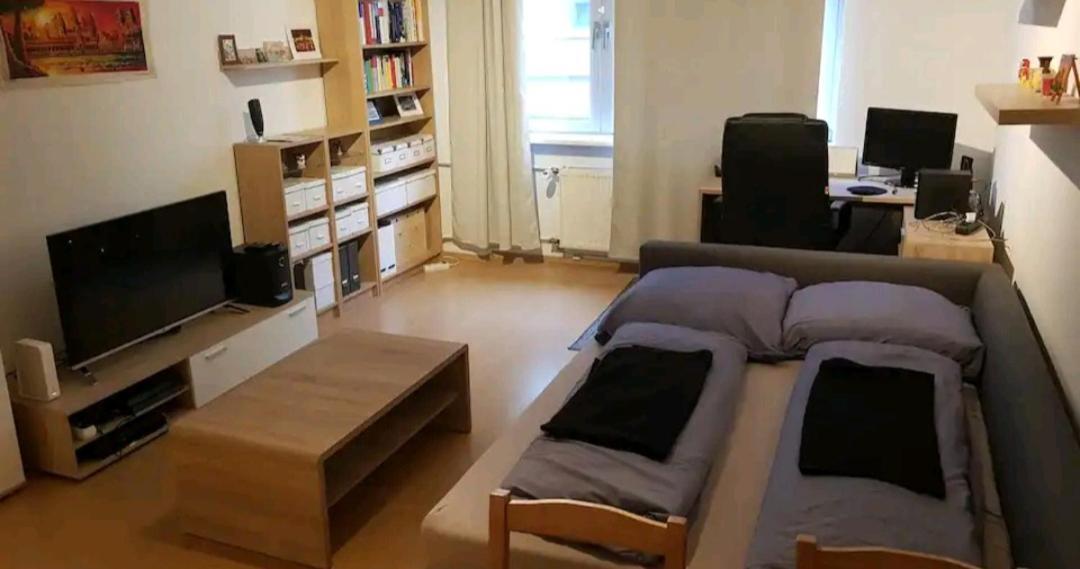 Apartment Im Zentrum 美因河畔法兰克福 外观 照片